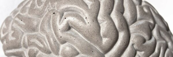 Cerveau Gray matters serre livres