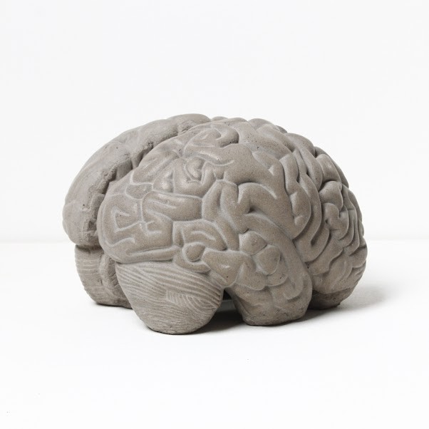 Cerveau Gray matters serre livres 
