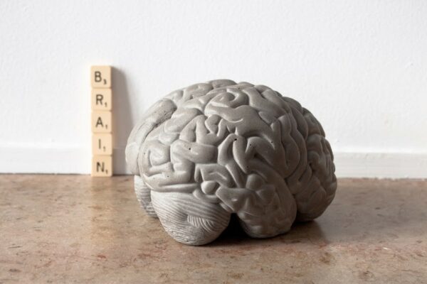Cerveau Gray matters serre livres