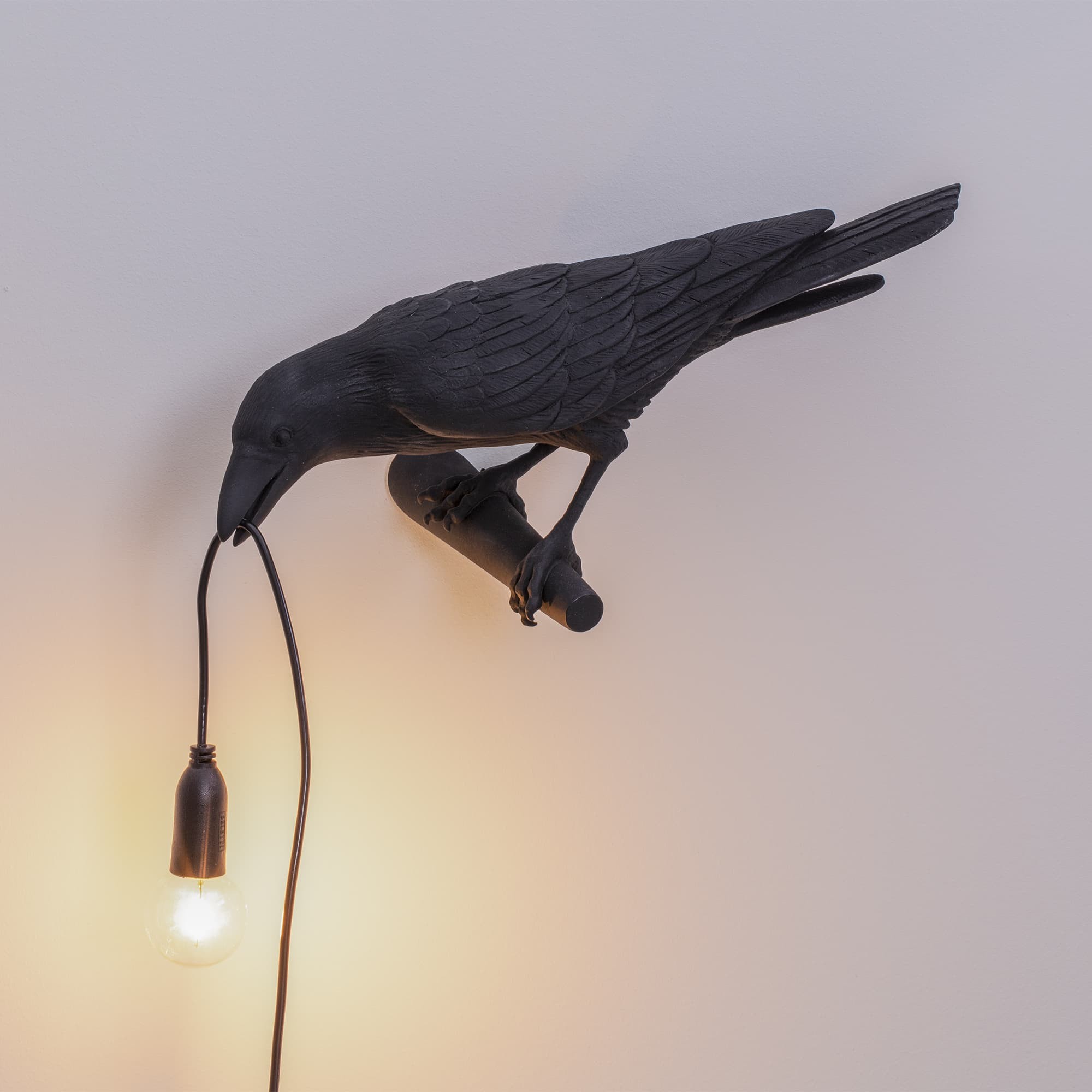 Applique murale Bird Lamp Looking en forme d'oiseau en résine noir par Seletti