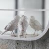 Miroir design et poétique avec petits moineaux Sparrow par le studio Haoshi