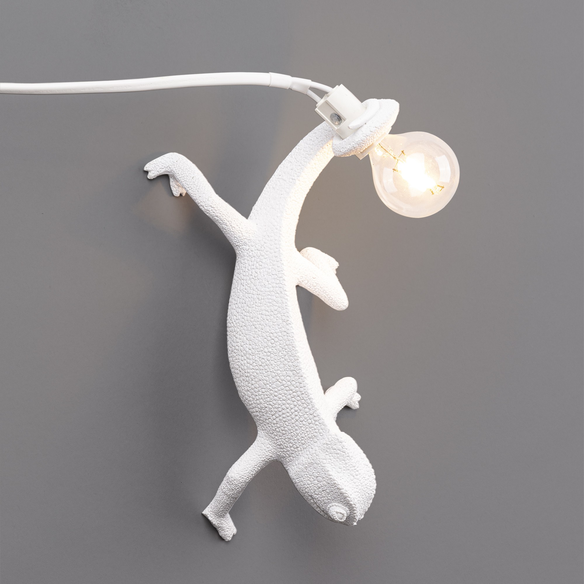 Applique murale Chameleon Going down en forme de cameleon en résine par Marcantonio x Seletti