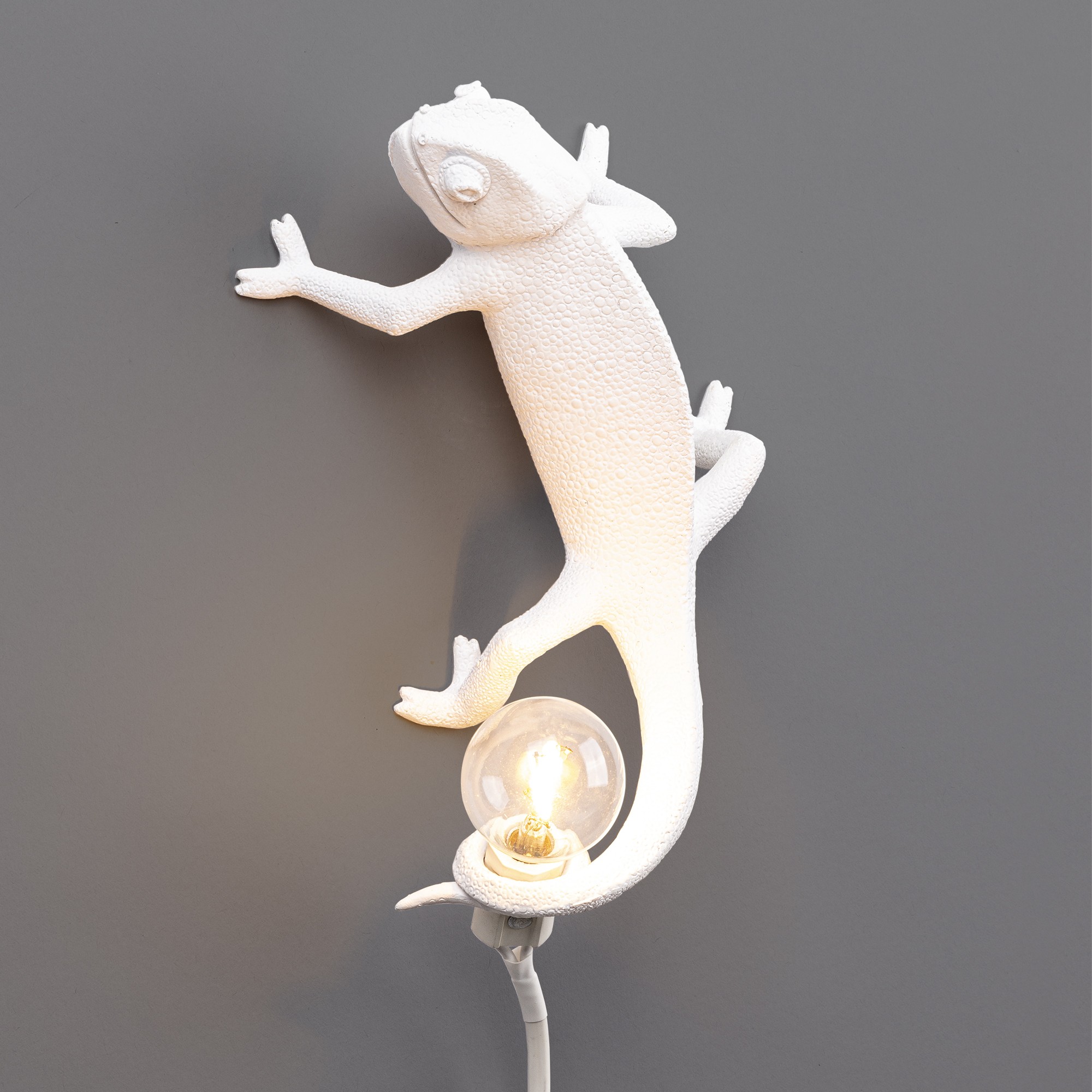 Applique murale Chameleon up en forme de cameleon en résine par Marcantonio x Seletti