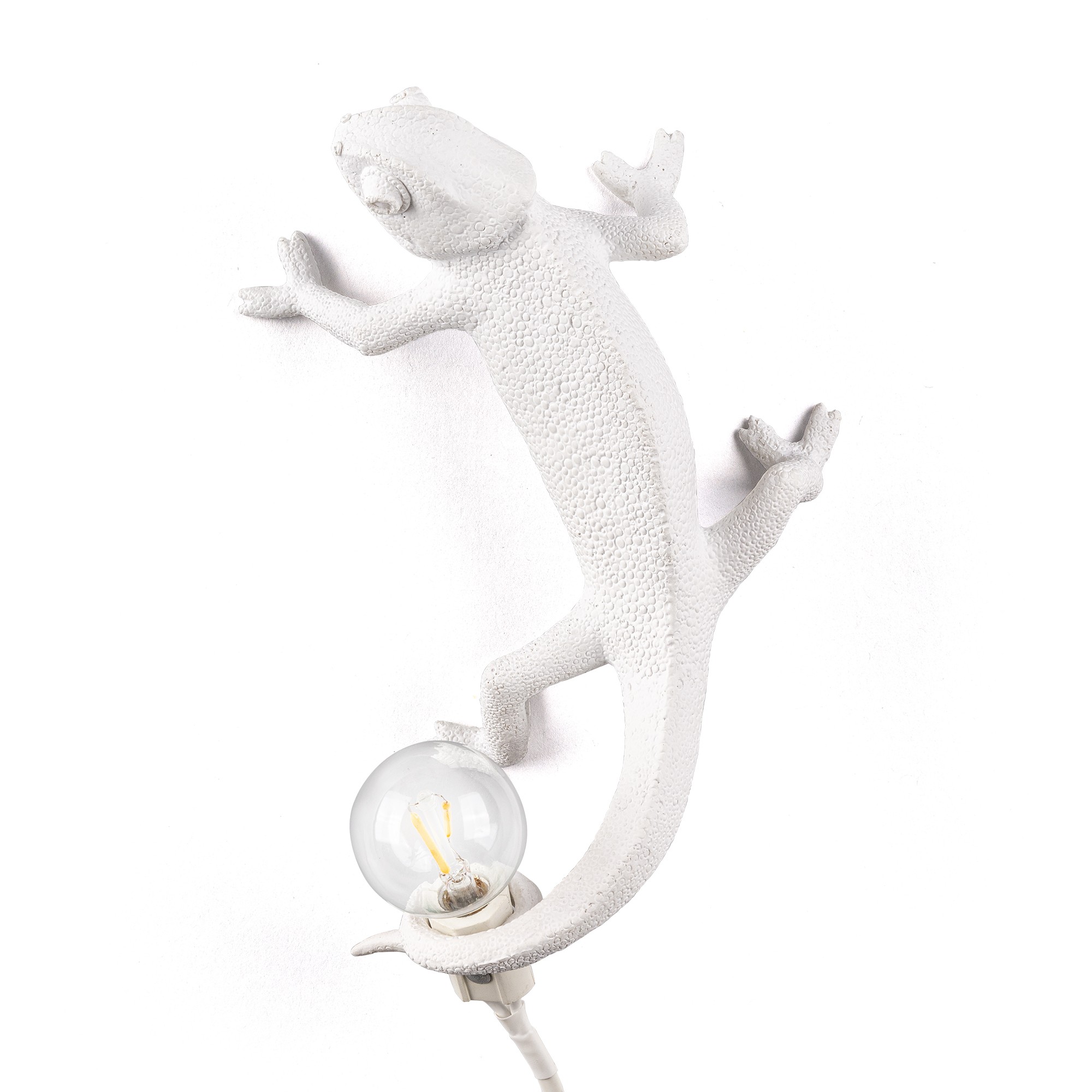 Applique murale Chameleon up en forme de cameleon en résine par Marcantonio x Seletti