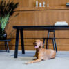 Bureau 4.9 version 2 tiroirs en bois au design scandinave par Marius Valaitis x Emko