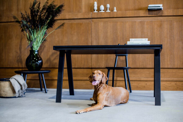 Bureau 4.9 version 2 tiroirs en bois au design scandinave par Marius Valaitis x Emko