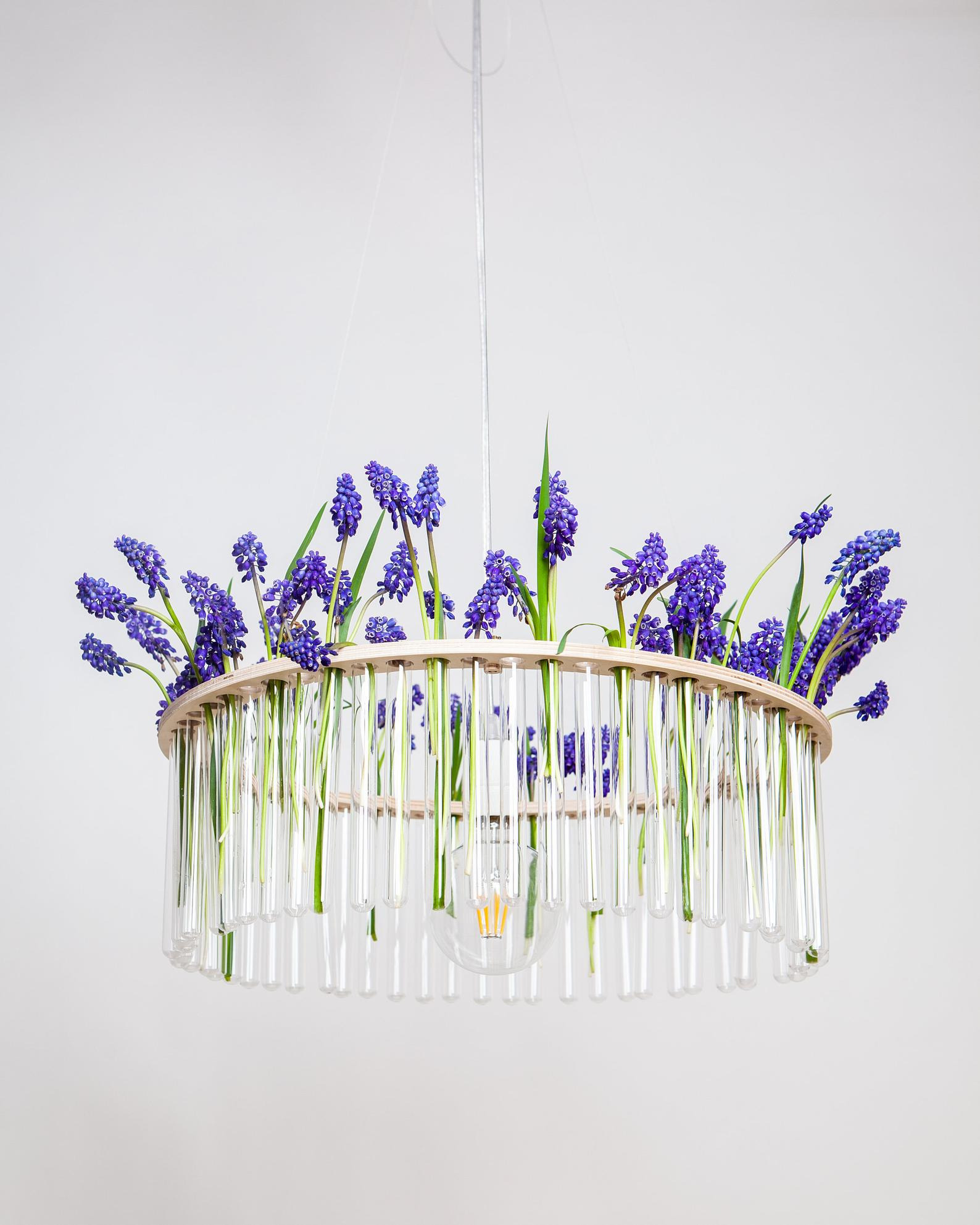 Lustre chandelier avec tubes à essai amovibles MARIA S.C. Single