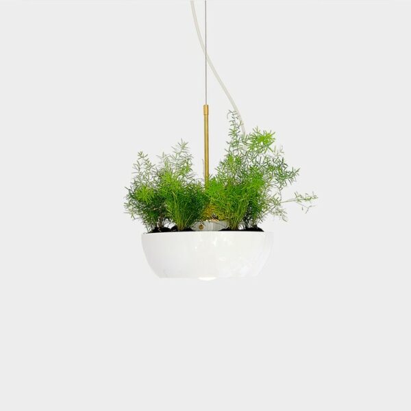 Suspension pot de fleurs Well Planter Light au design nature et sauvage par Object Interface