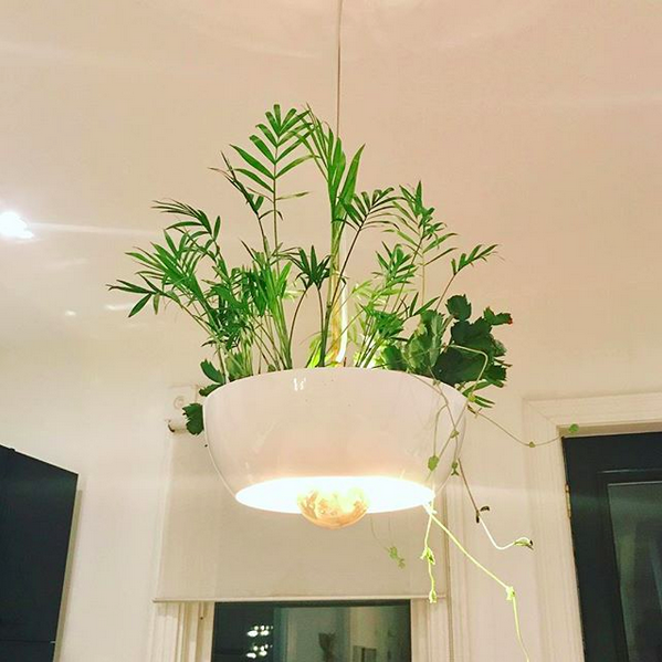 Suspension pot de fleurs Well Planter Light au design nature et sauvage par Object Interface