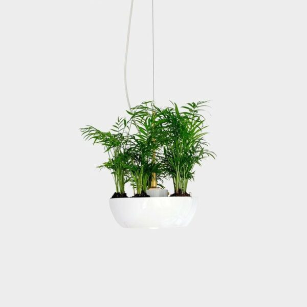Suspension pot de fleurs Well Planter Light au design nature et sauvage par Object Interface