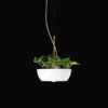 Suspension pot de fleurs Well Planter Light au design nature et sauvage par Object Interface