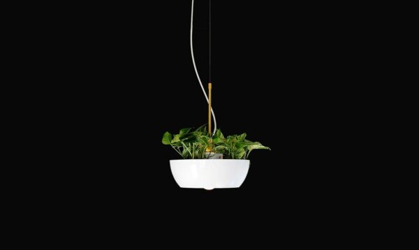 Suspension pot de fleurs Well Planter Light au design nature et sauvage par Object Interface