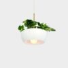 Suspension pot de fleurs Well Planter Light au design nature et sauvage par Object Interface