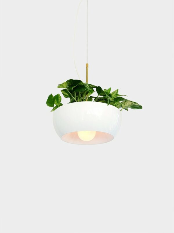 Suspension pot de fleurs Well Planter Light au design nature et sauvage par Object Interface
