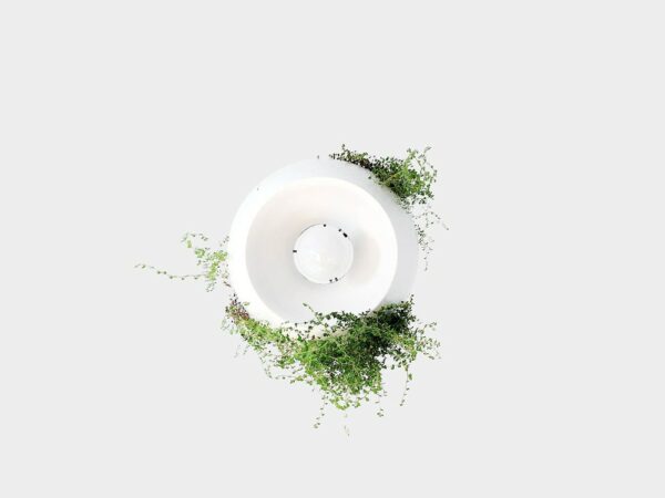 Suspension pot de fleurs Well Planter Light au design nature et sauvage par Object Interface
