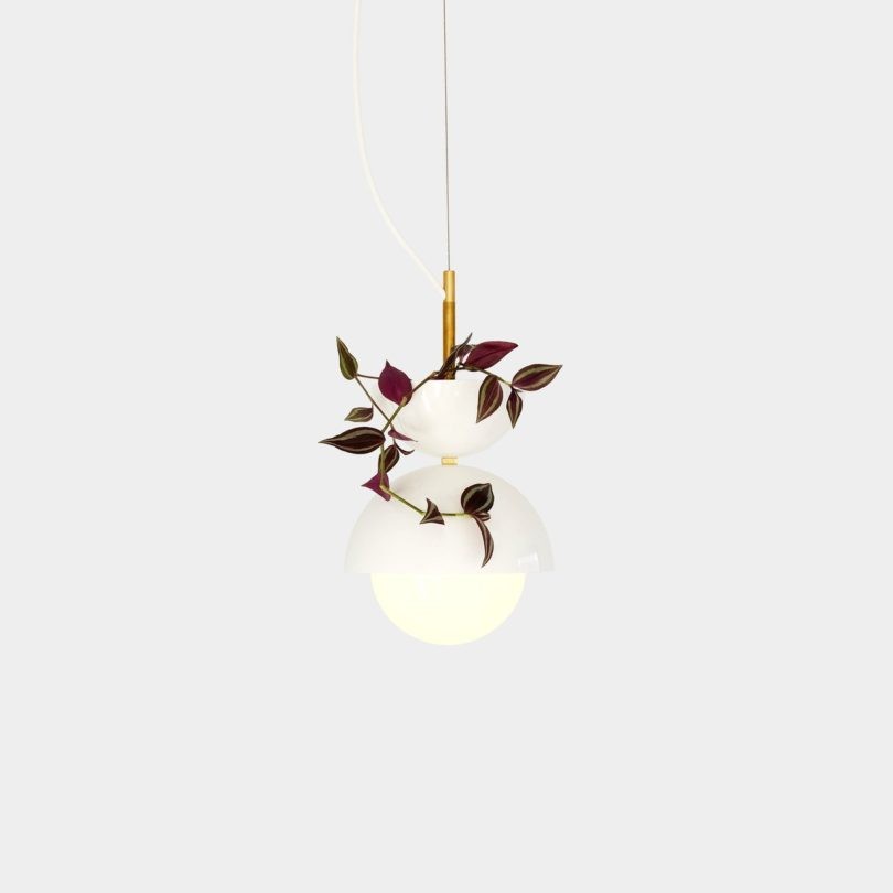 Suspension pot de fleurs Hemisphere Pendant Planter au design nature par Ryan Taylor X Object Interface